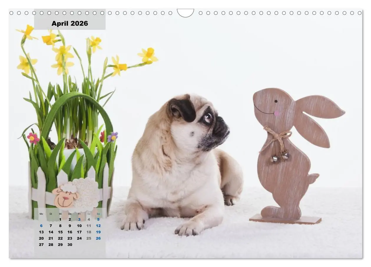 Bild: 9783457961902 | Lillie Mopsgetier - mopsfidel durchs Jahr (Wandkalender 2026 DIN A3...