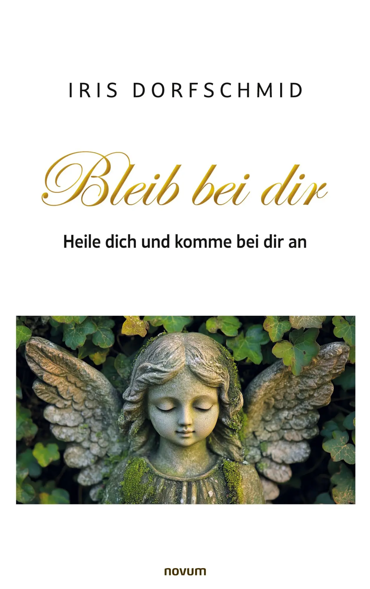 Cover: 9783711601902 | Bleib bei dir - Heile dich und komme bei dir an | Iris Dorfschmid