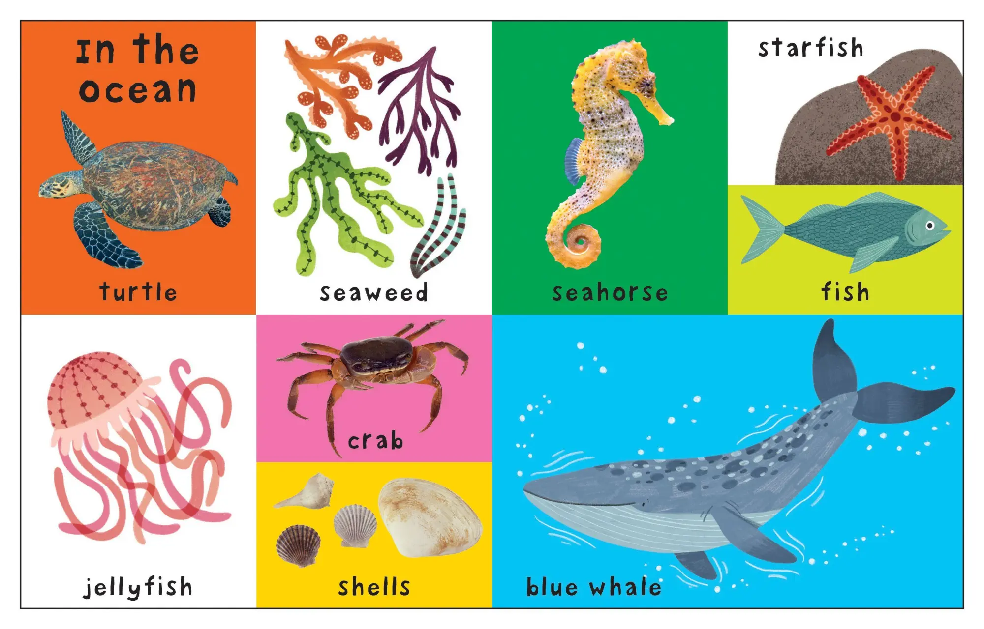 Bild: 9781838992002 | First 100 Nature Words | Priddy Books (u. a.) | Buch | Papp-Bilderbuch