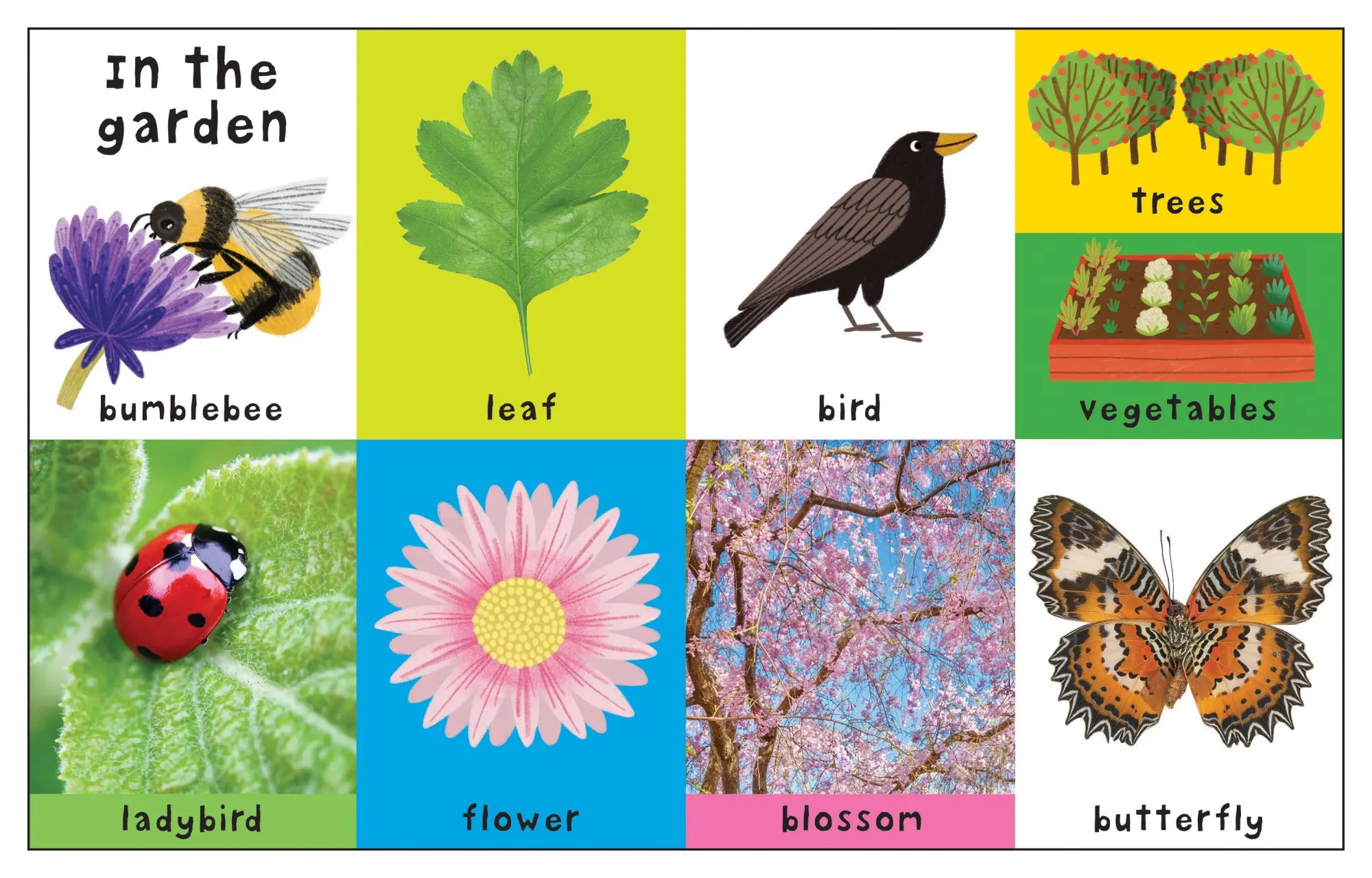 Bild: 9781838992002 | First 100 Nature Words | Priddy Books (u. a.) | Buch | Papp-Bilderbuch