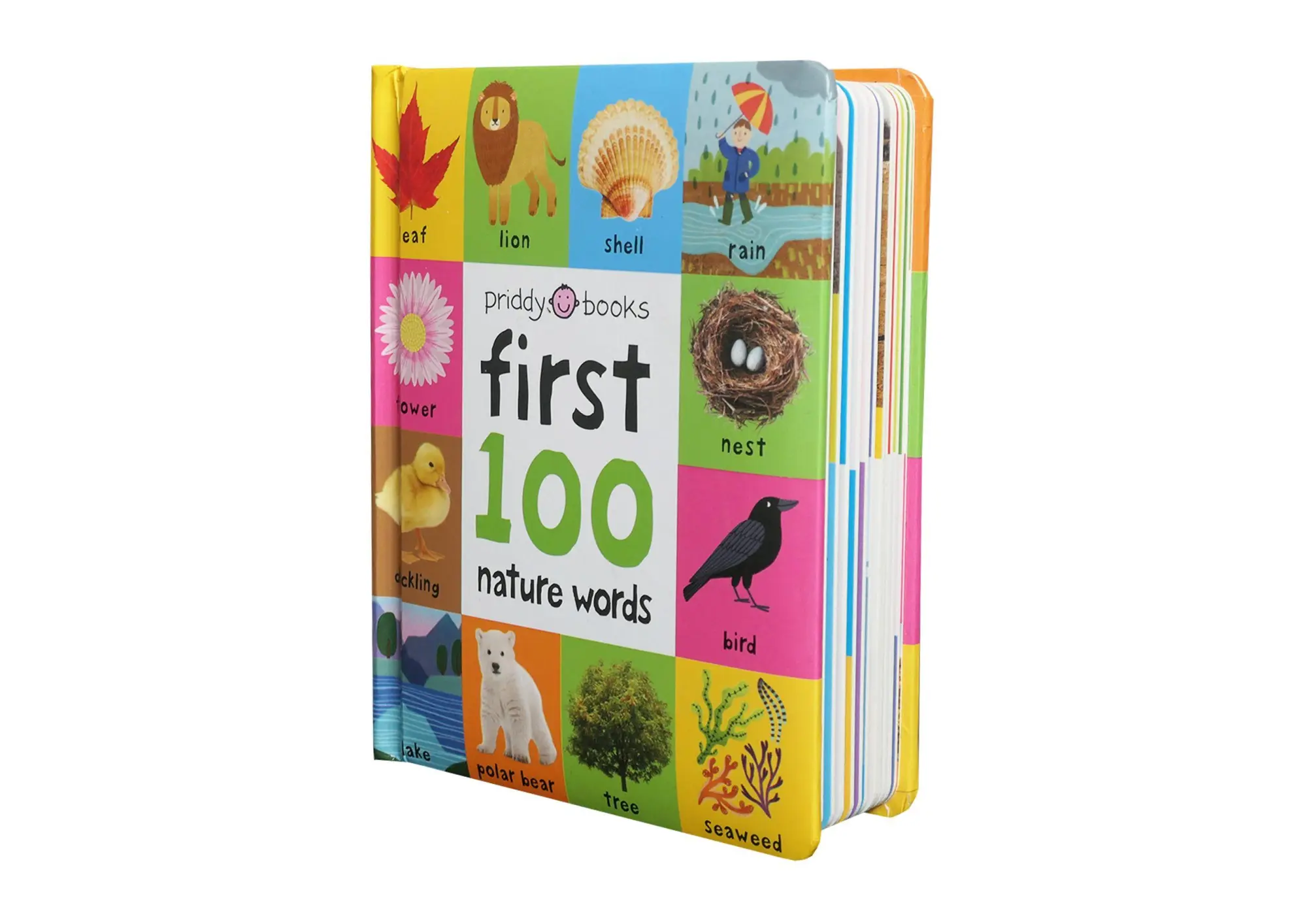 Bild: 9781838992002 | First 100 Nature Words | Priddy Books (u. a.) | Buch | Papp-Bilderbuch