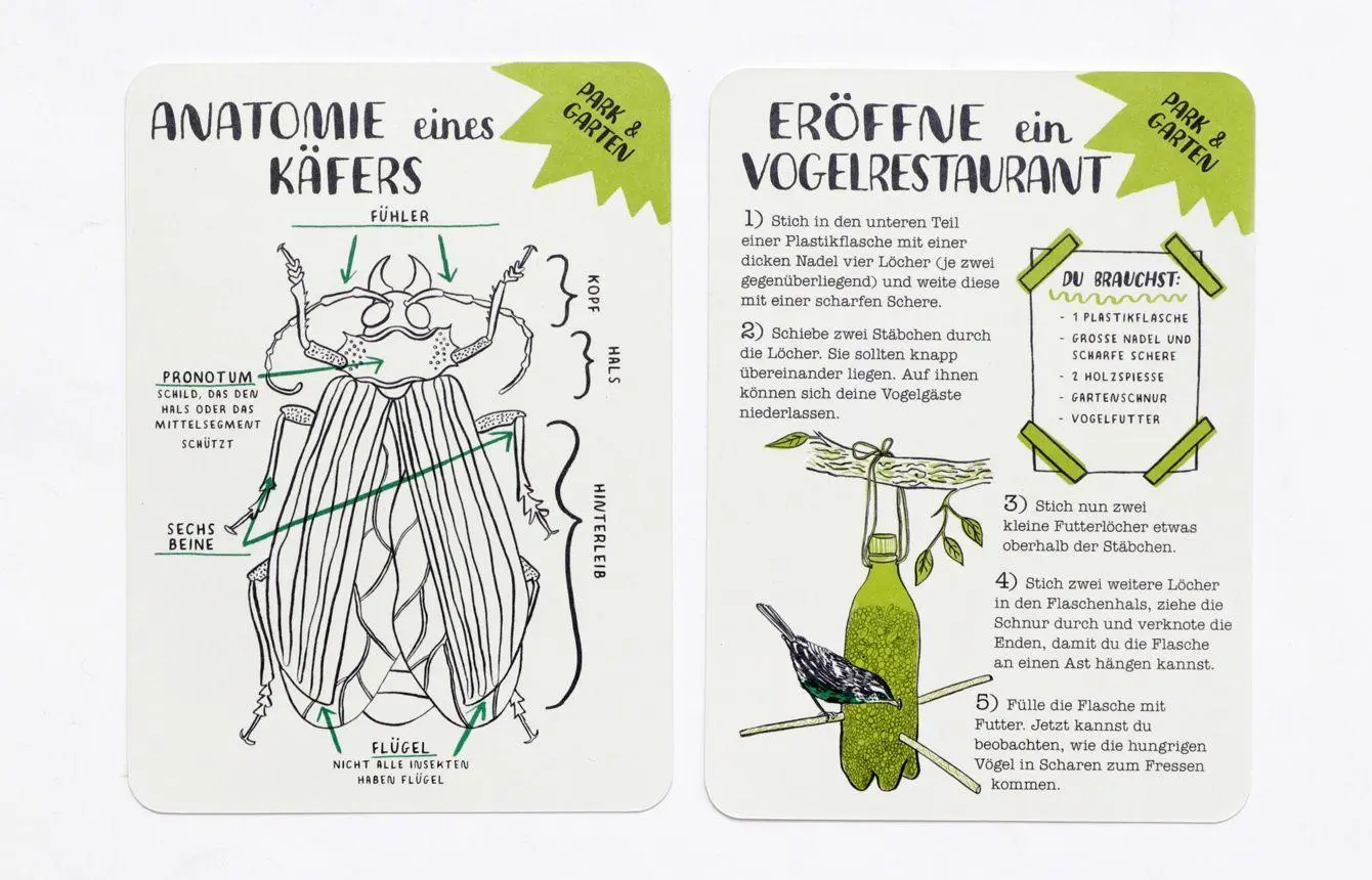 Bild: 9783962442002 | Hallo Natur Activity-Karten | Anna Claybourne | 30 S. | Deutsch | 2021