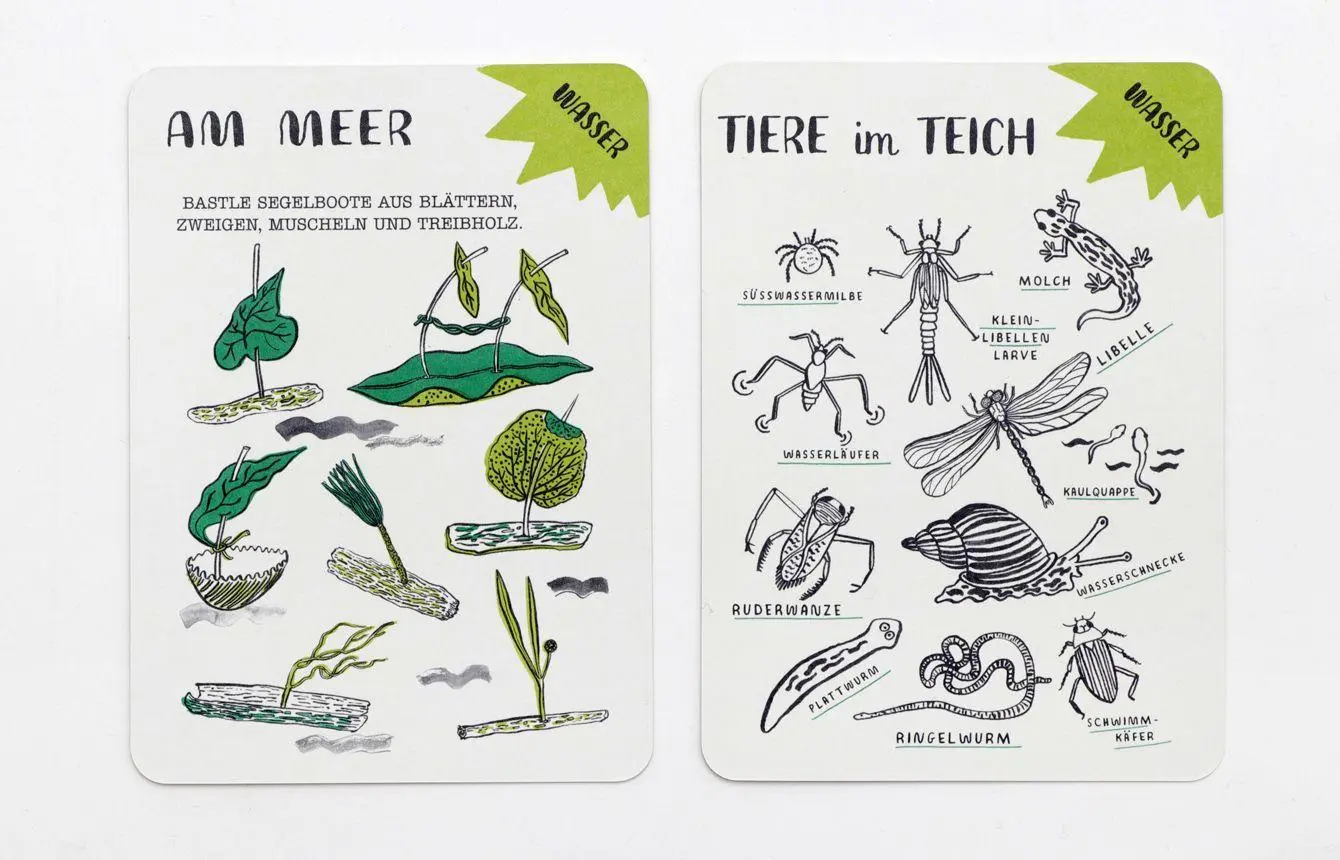 Bild: 9783962442002 | Hallo Natur Activity-Karten | Anna Claybourne | 30 S. | Deutsch | 2021