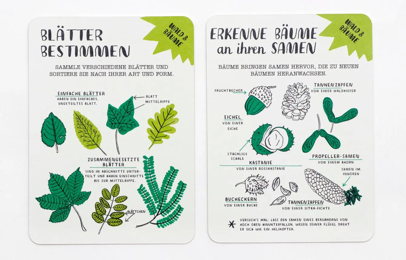 Bild: 9783962442002 | Hallo Natur Activity-Karten | Anna Claybourne | 30 S. | Deutsch | 2021