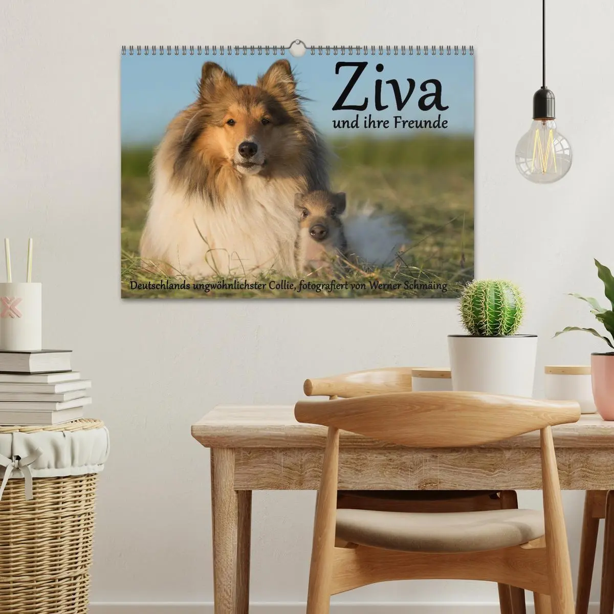 Bild: 9783516002102 | Ziva und ihre Freunde (Wandkalender 2026 DIN A3 quer), CALVENDO...
