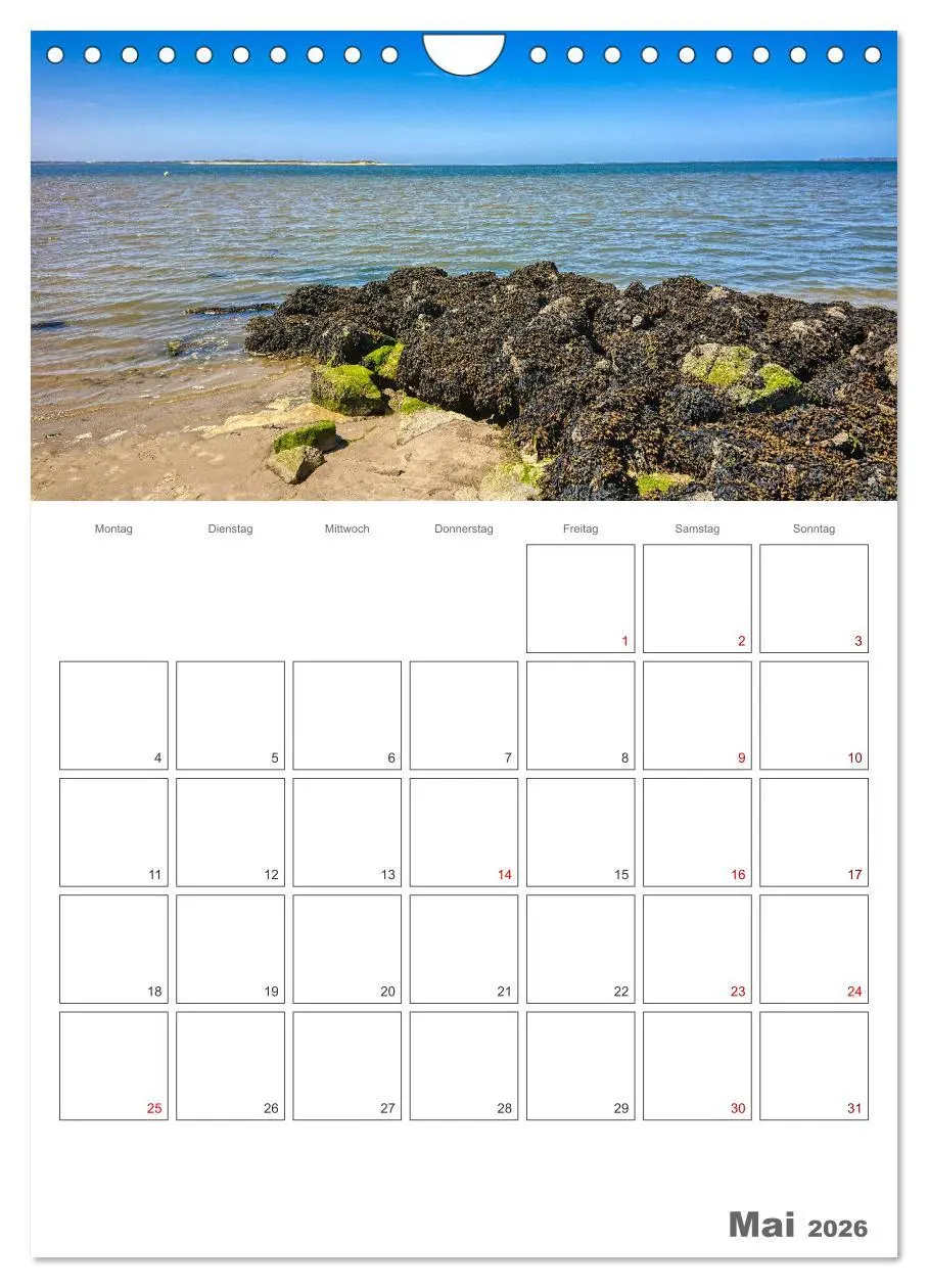 Bild: 9783516242102 | Föhr ... verliebt in die Insel (Wandkalender 2026 DIN A4 hoch),...