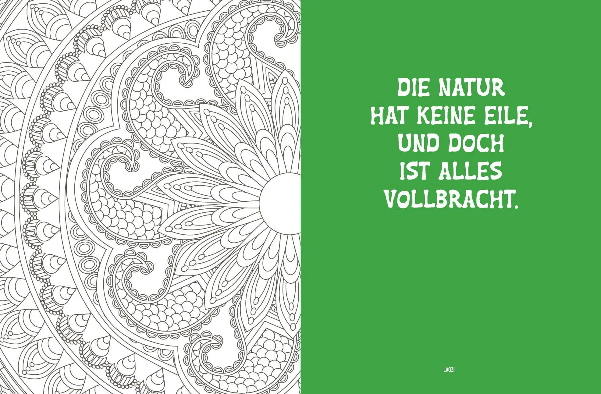 Bild: 9783745932102 | Colorful Mandala - Energie aus der Natur | Taschenbuch | 96 S. | 2026