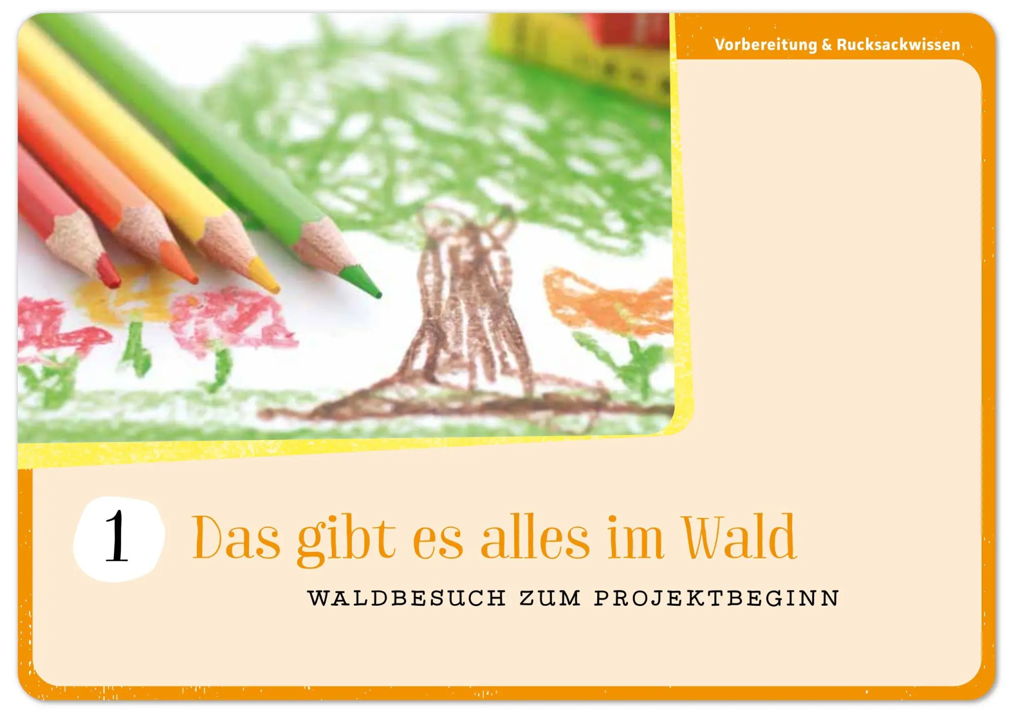 Bild: 4280000572202 | Im Wald | 40 Bildkarten mit tollen Mini-Projekten für die Kita | Mohr