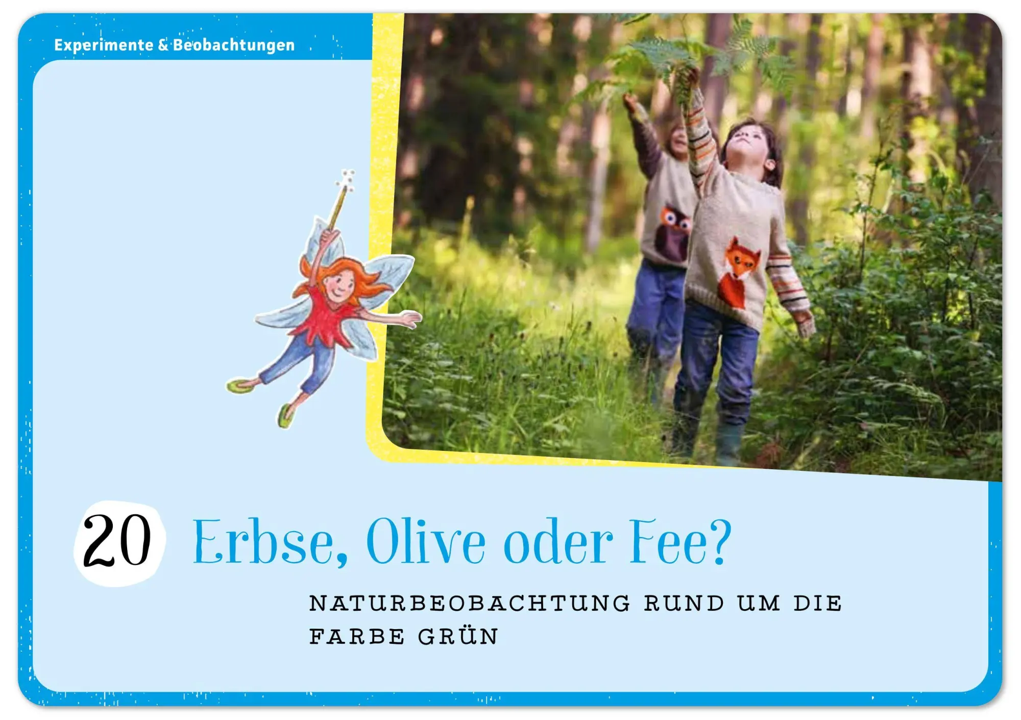 Bild: 4280000572202 | Im Wald | 40 Bildkarten mit tollen Mini-Projekten für die Kita | Mohr