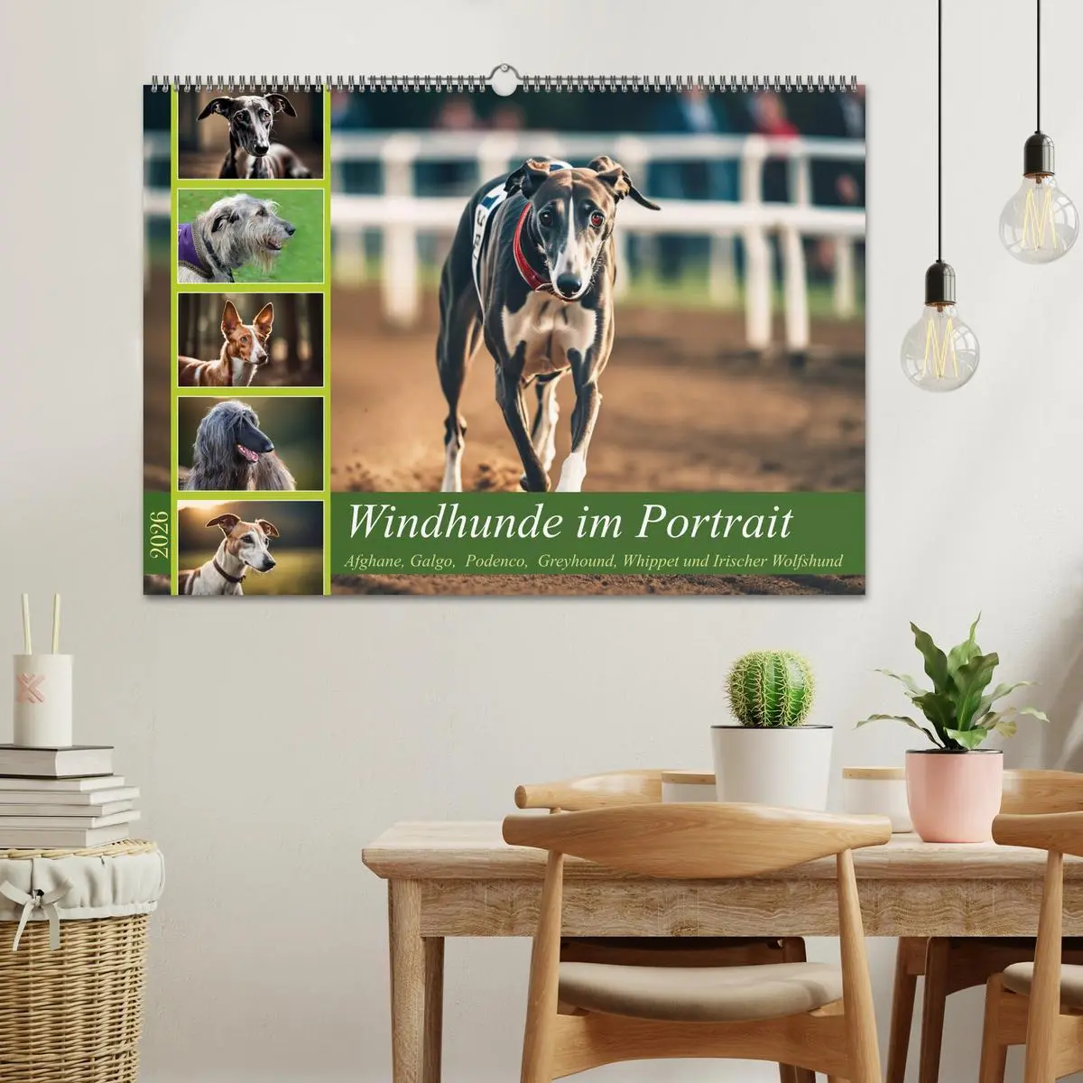 Bild: 9783457382202 | Windhunde im Portrait (Wandkalender 2026 DIN A2 quer), CALVENDO...