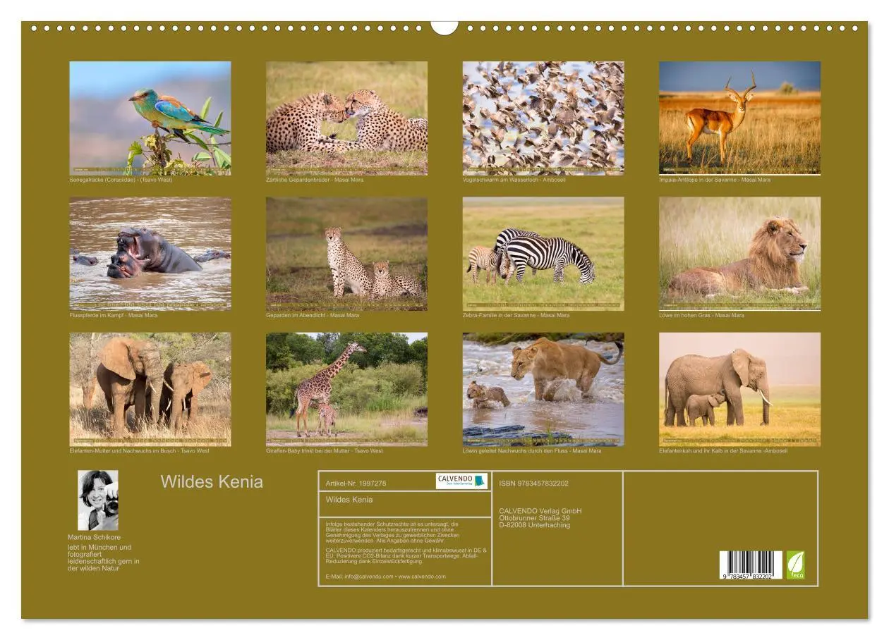 Bild: 9783457832202 | Wildes Kenia (Wandkalender 2026 DIN A2 quer), CALVENDO Monatskalender