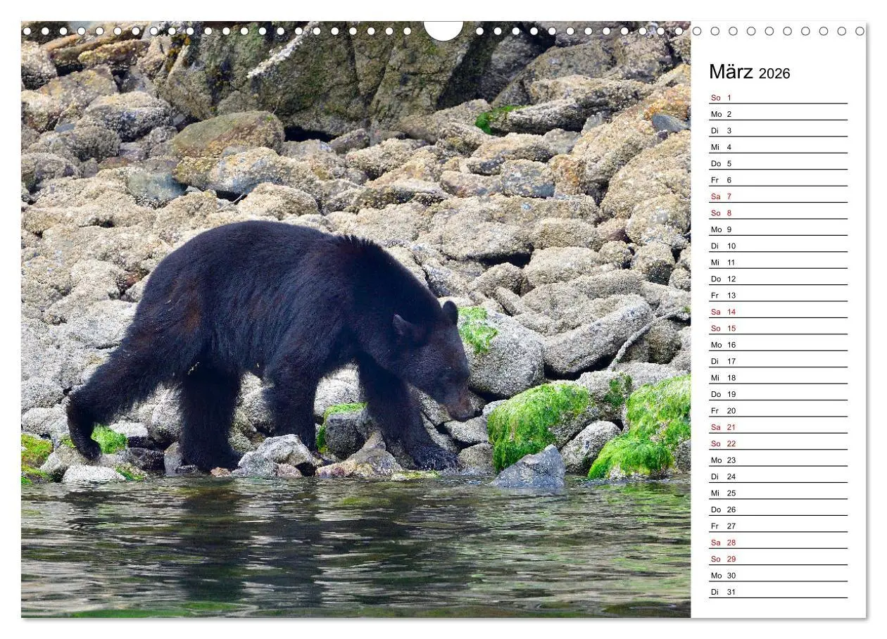 Bild: 9783457902202 | Vancouver Island - Perle im Kanadischen Westen (Wandkalender 2026...