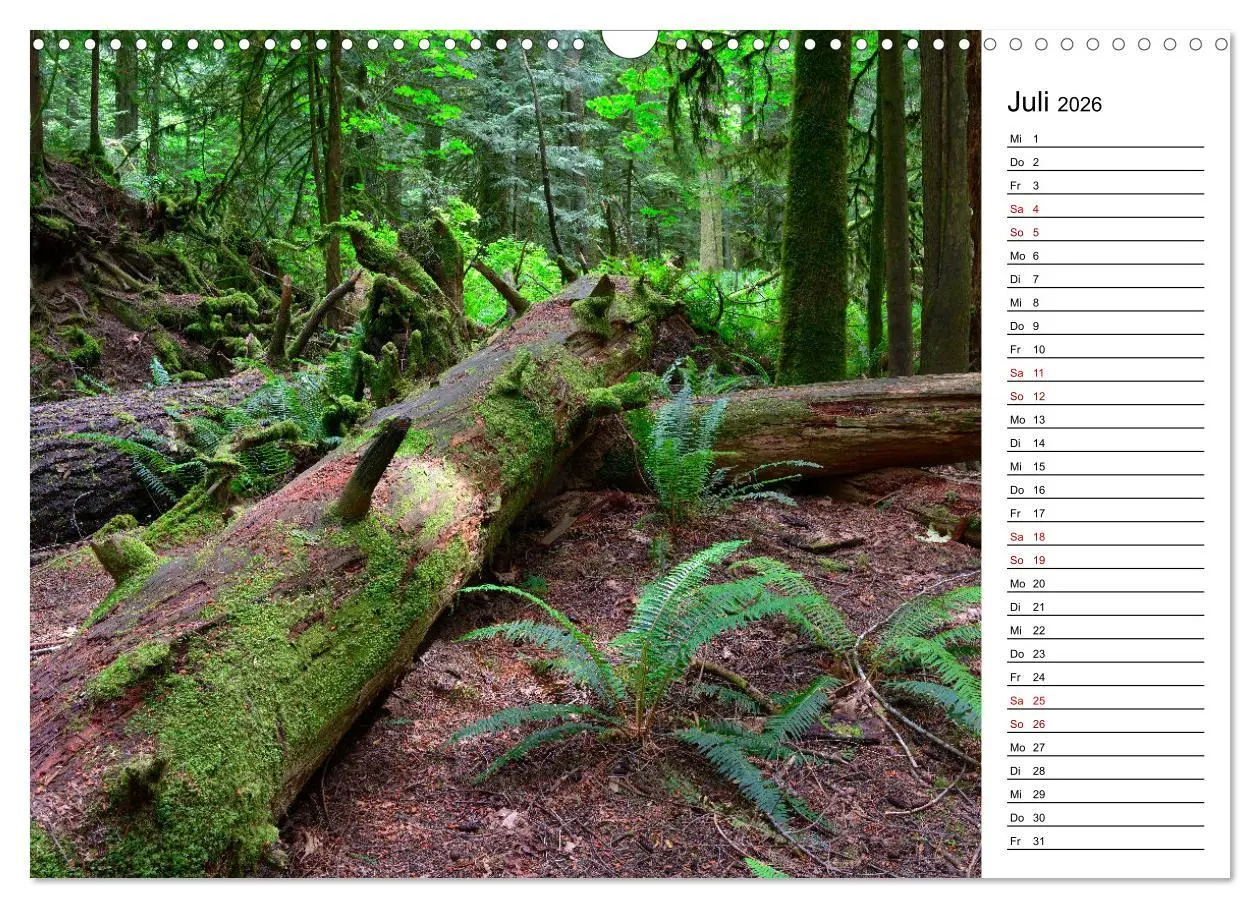 Bild: 9783457902202 | Vancouver Island - Perle im Kanadischen Westen (Wandkalender 2026...