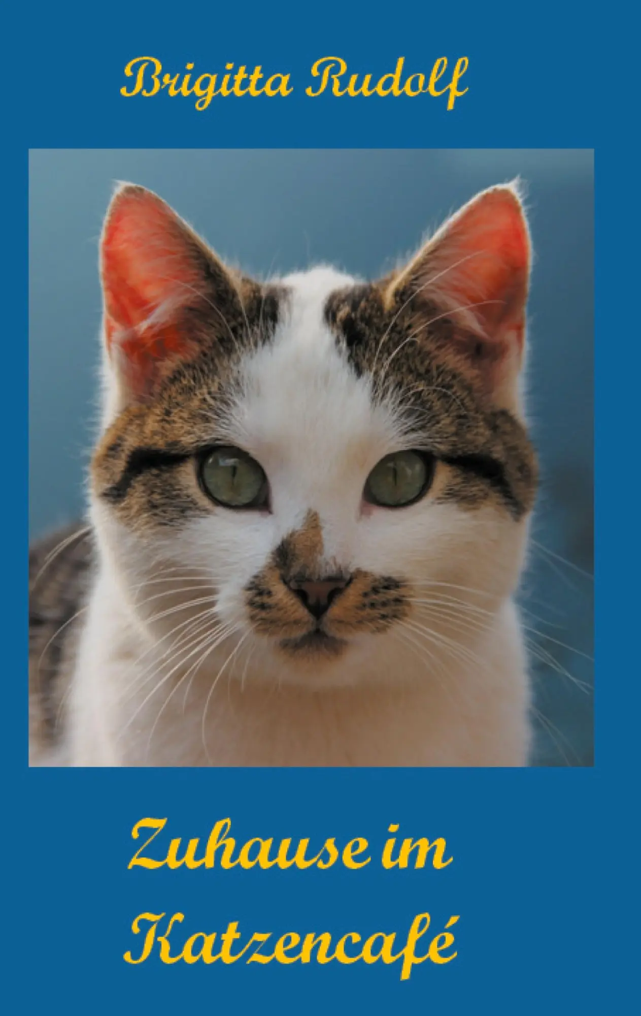 Cover: 9783752612202 | Zuhause im Katzencafé | Brigitta Rudolf | Taschenbuch | 320 S. | 2020