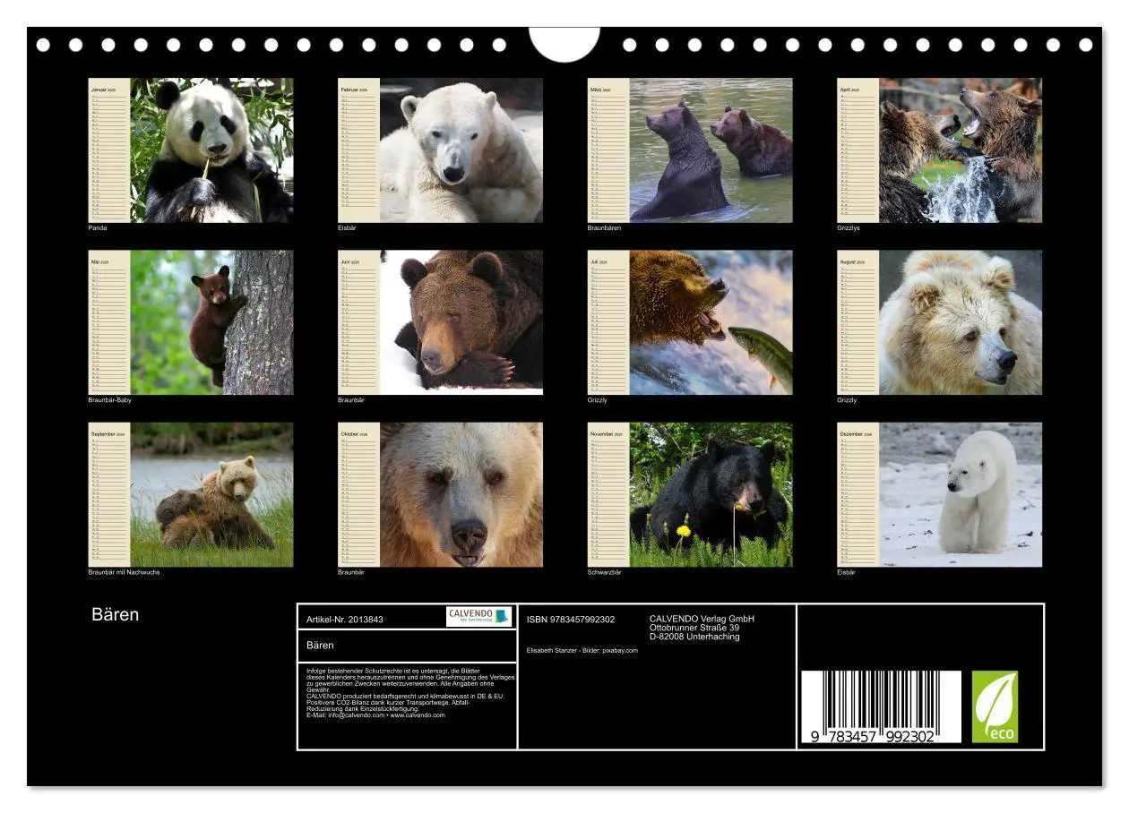 Bild: 9783457992302 | Bären (Wandkalender 2026 DIN A4 quer), CALVENDO Monatskalender | 2026