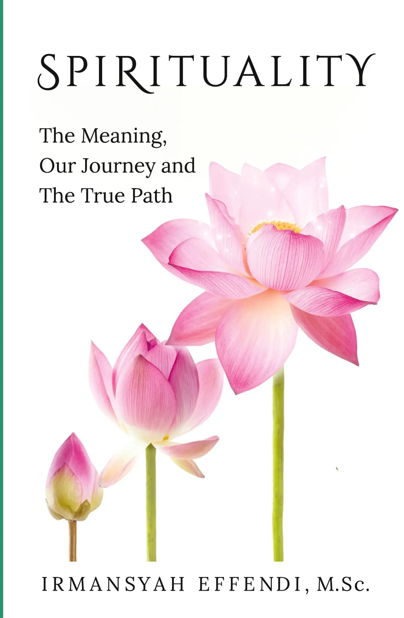 Cover: 9780994552402 | Spirituality | The Meaning, Our Journey and the True Path | Effendi