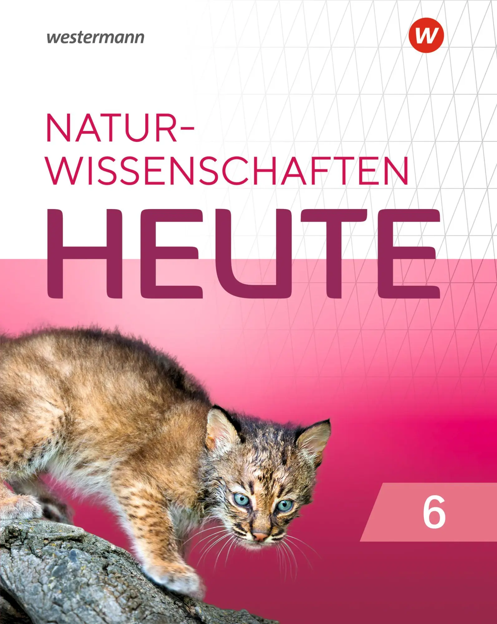 Cover: 9783141512502 | Naturwissenschaft heute 6. Schulbuch. Für Rheinland-Pfalz | Buch