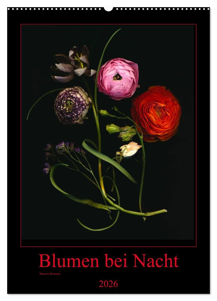 Cover: 9783516372502 | Blumen bei Nacht (Wandkalender 2026 DIN A2 hoch), CALVENDO...