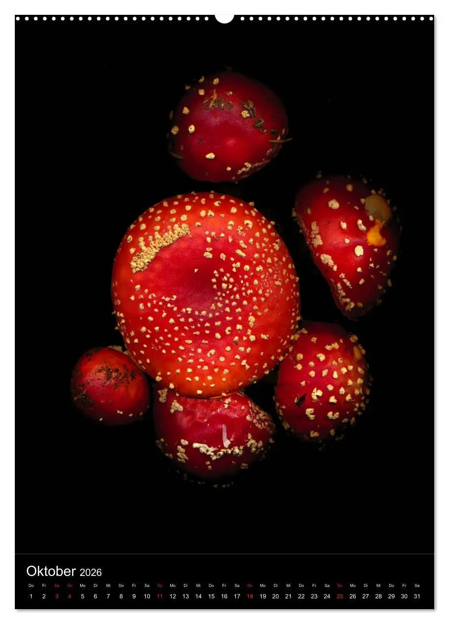 Bild: 9783516372502 | Blumen bei Nacht (Wandkalender 2026 DIN A2 hoch), CALVENDO...