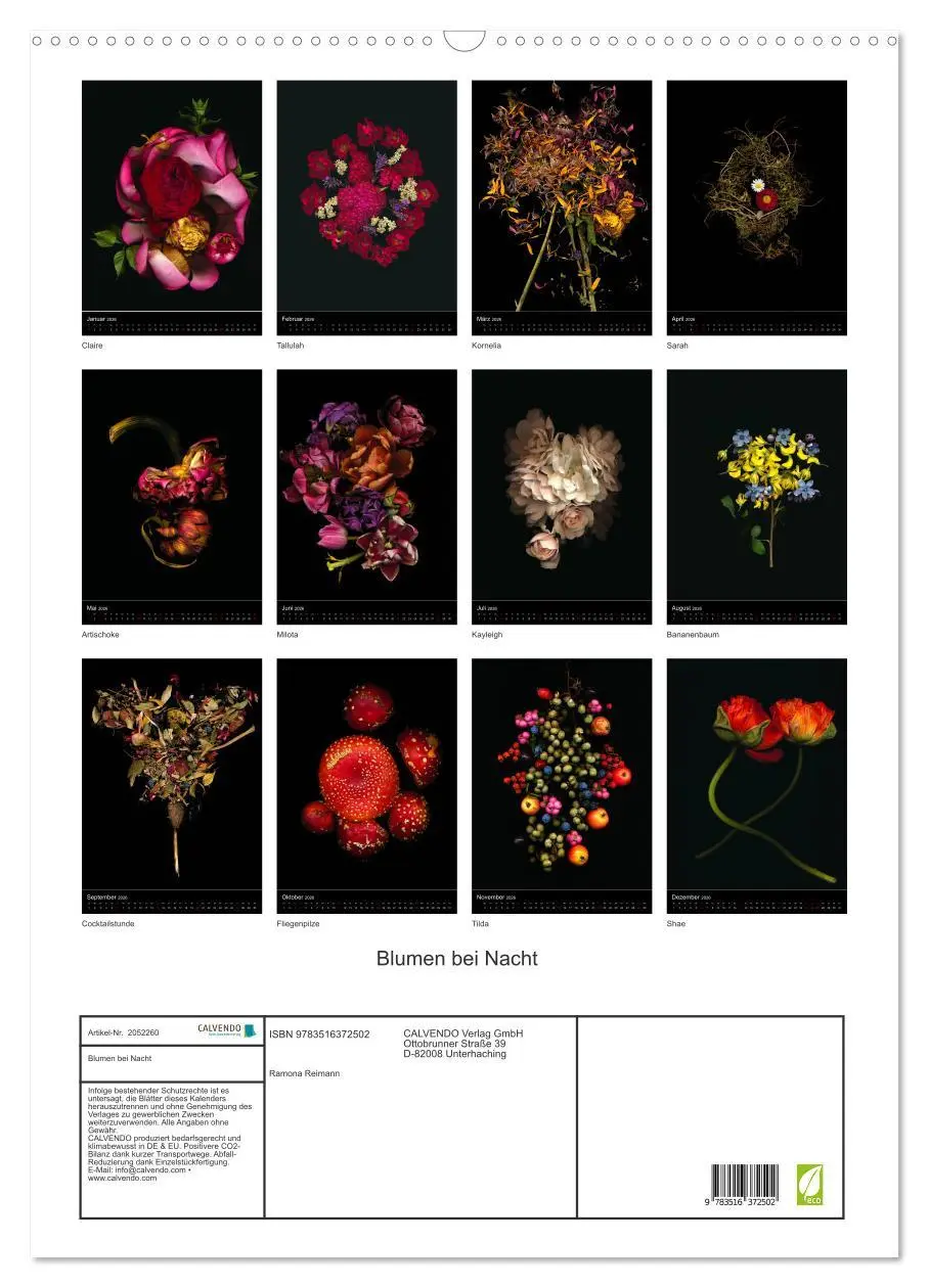 Bild: 9783516372502 | Blumen bei Nacht (Wandkalender 2026 DIN A2 hoch), CALVENDO...
