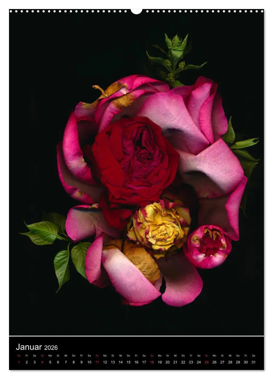 Bild: 9783516372502 | Blumen bei Nacht (Wandkalender 2026 DIN A2 hoch), CALVENDO...