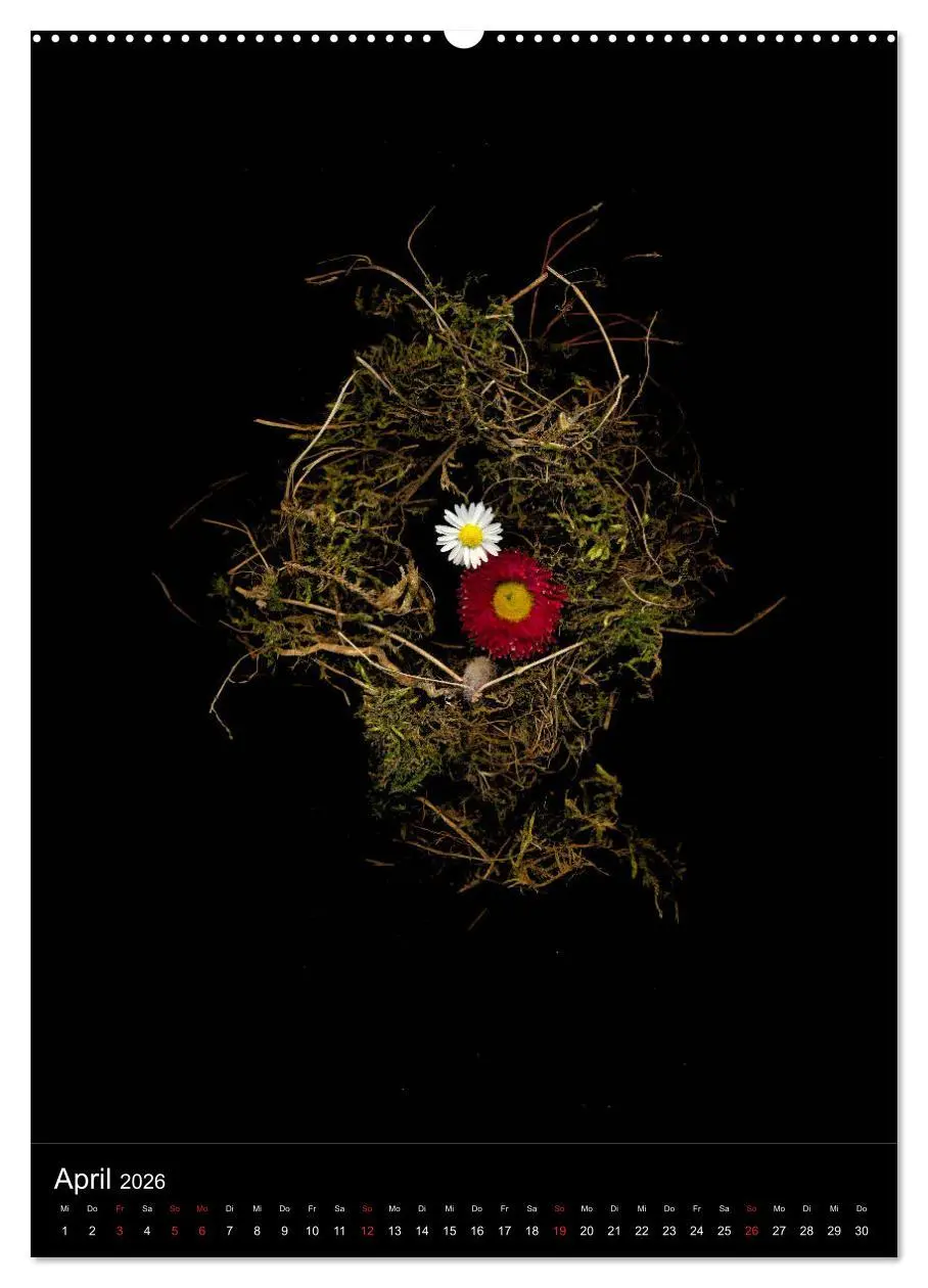 Bild: 9783516372502 | Blumen bei Nacht (Wandkalender 2026 DIN A2 hoch), CALVENDO...