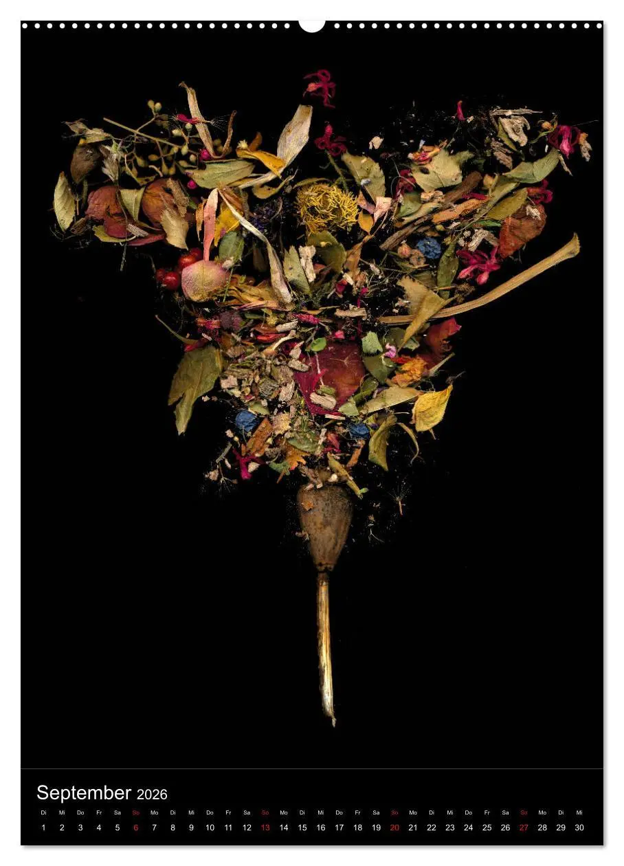 Bild: 9783516372502 | Blumen bei Nacht (Wandkalender 2026 DIN A2 hoch), CALVENDO...