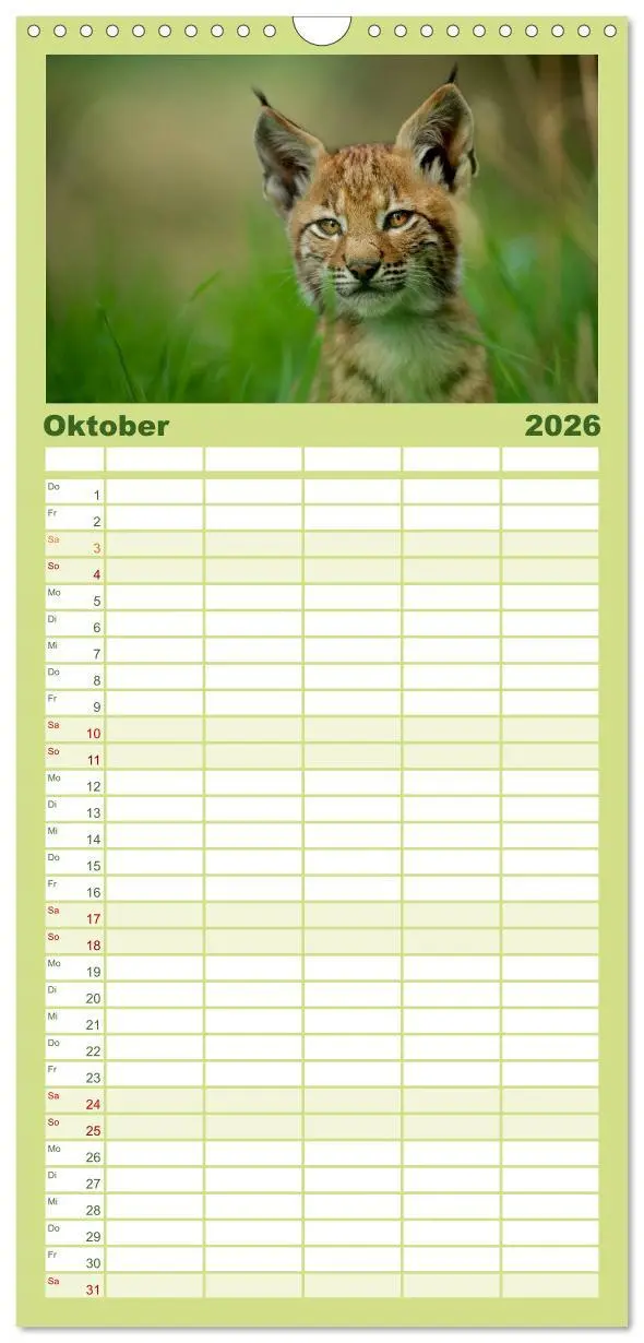 Bild: 9783516512502 | Familienplaner 2026 - Der Luchs - Dem Pinselohr auf der Spur mit 5...