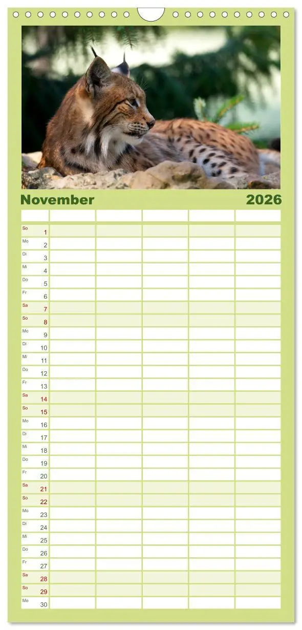 Bild: 9783516512502 | Familienplaner 2026 - Der Luchs - Dem Pinselohr auf der Spur mit 5...