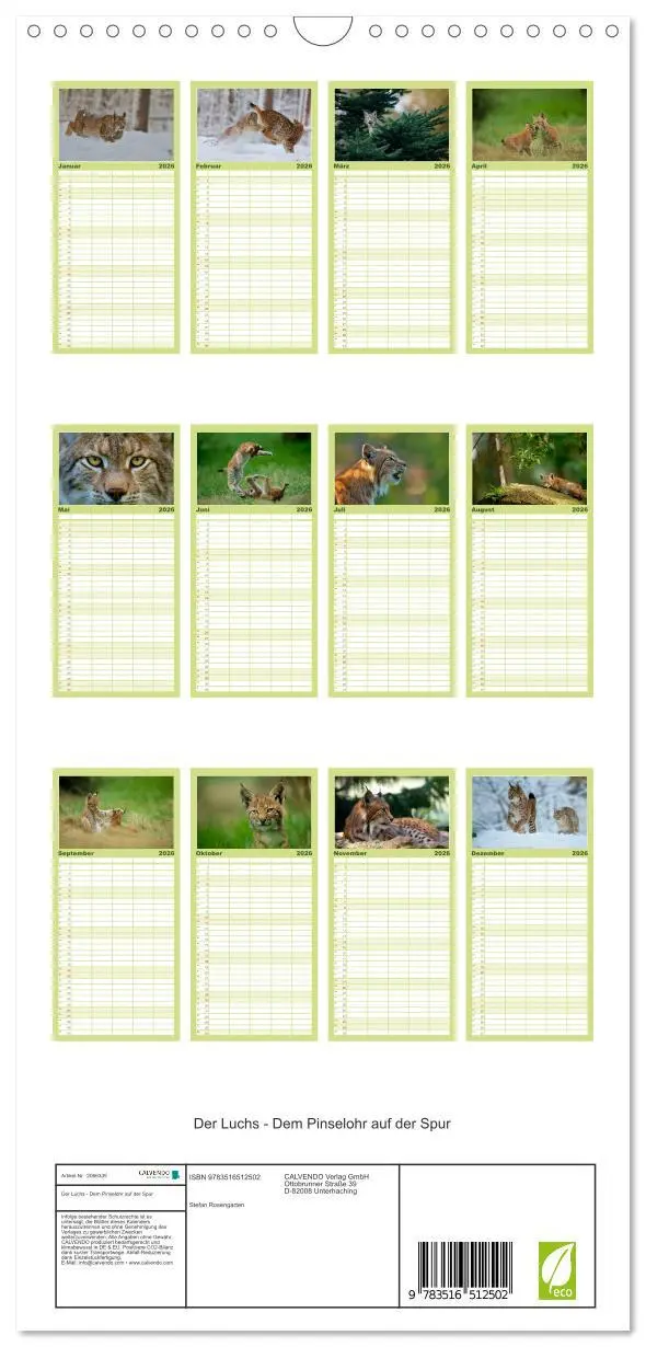 Bild: 9783516512502 | Familienplaner 2026 - Der Luchs - Dem Pinselohr auf der Spur mit 5...