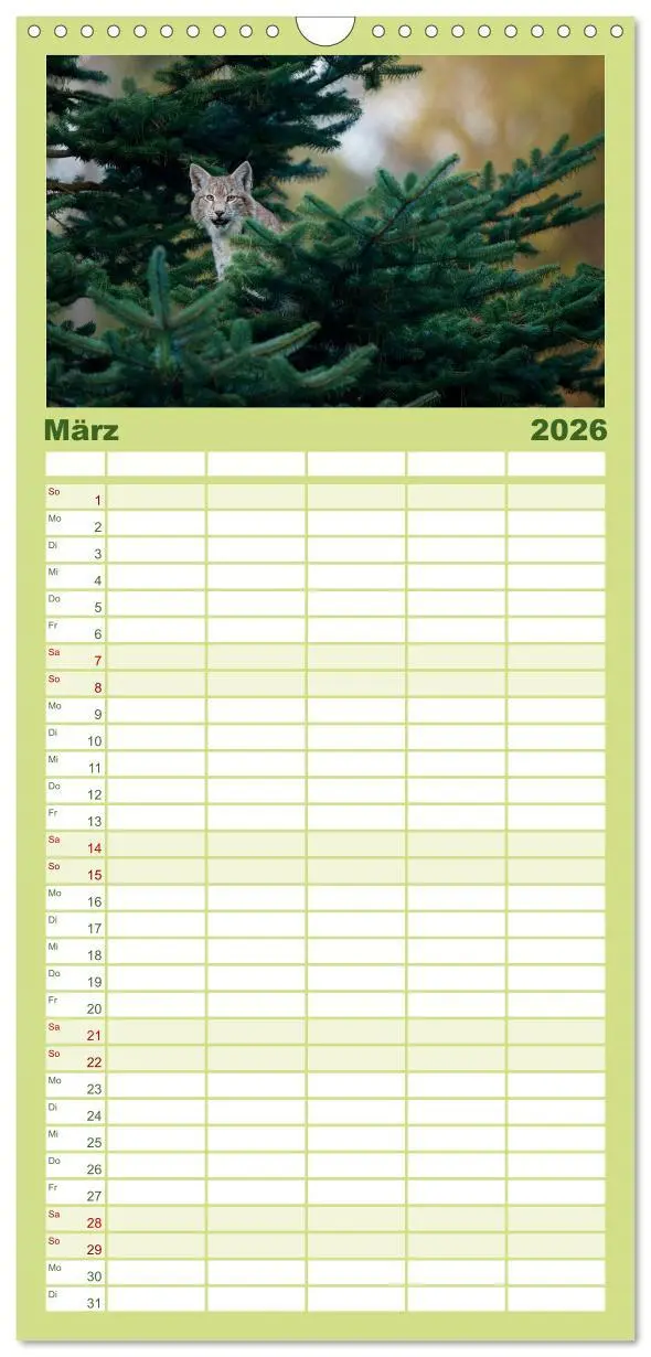 Bild: 9783516512502 | Familienplaner 2026 - Der Luchs - Dem Pinselohr auf der Spur mit 5...
