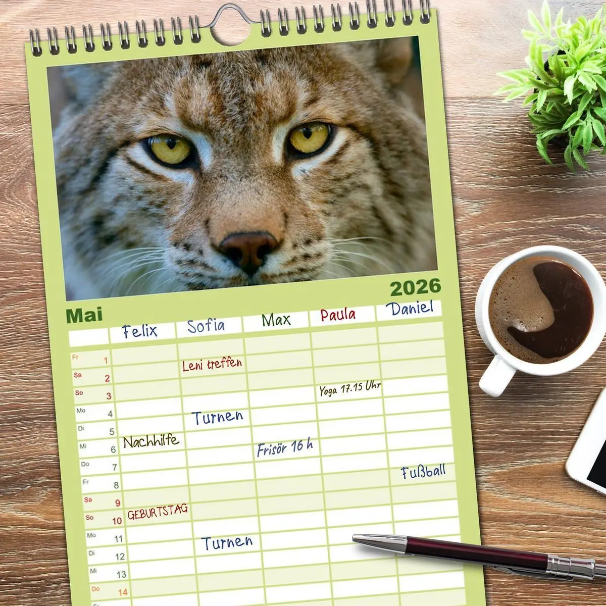 Bild: 9783516512502 | Familienplaner 2026 - Der Luchs - Dem Pinselohr auf der Spur mit 5...