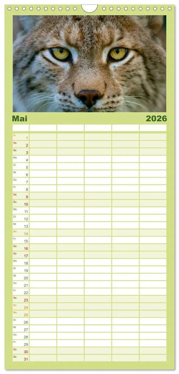 Bild: 9783516512502 | Familienplaner 2026 - Der Luchs - Dem Pinselohr auf der Spur mit 5...