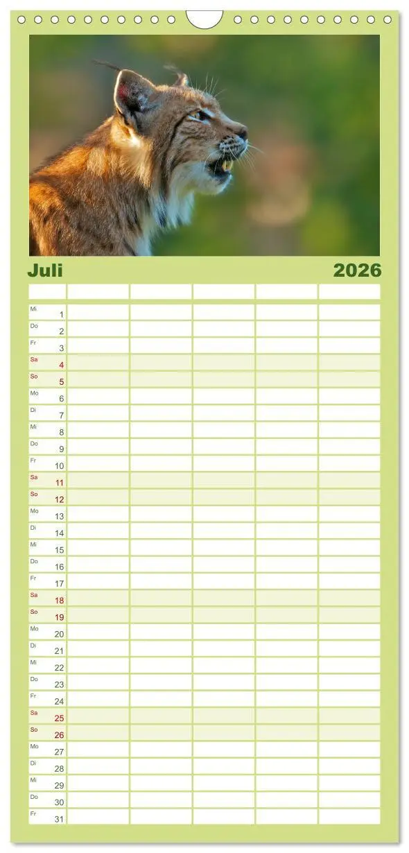 Bild: 9783516512502 | Familienplaner 2026 - Der Luchs - Dem Pinselohr auf der Spur mit 5...