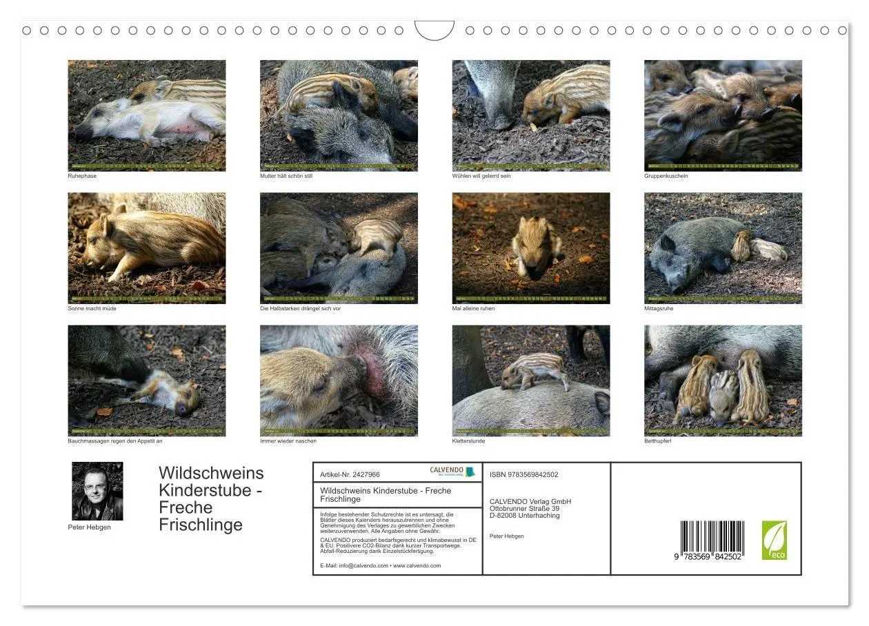 Bild: 9783569842502 | Wildschweins Kinderstube - Freche Frischlinge (Wandkalender 2027...