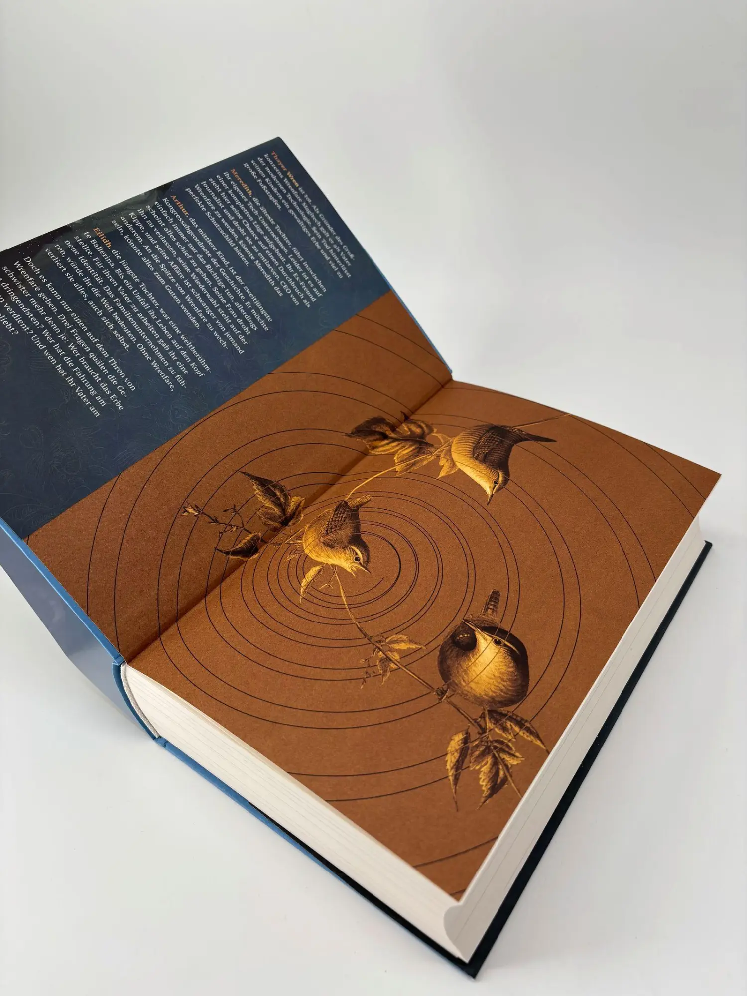 Bild: 9783596712502 | Gifted and Talented | Aufstieg und Fall einer magischen Familie | Buch