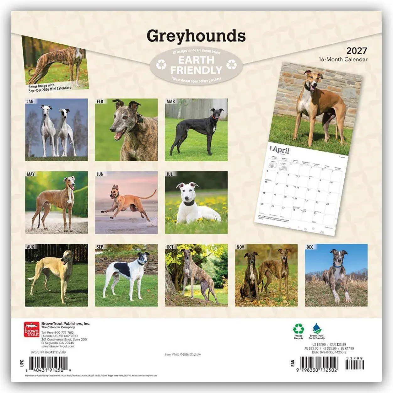 Rückseite: 9798330712502 | Greyhounds - Windhunde 2027 - 16-Monatskalender | Publishers | 28 S.