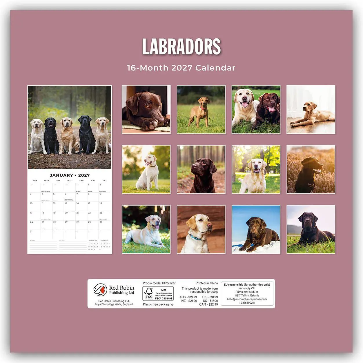 Bild: 9781837012602 | Labradors - Labradore - Labrador Retriever 2027 - 16-Monatskalender