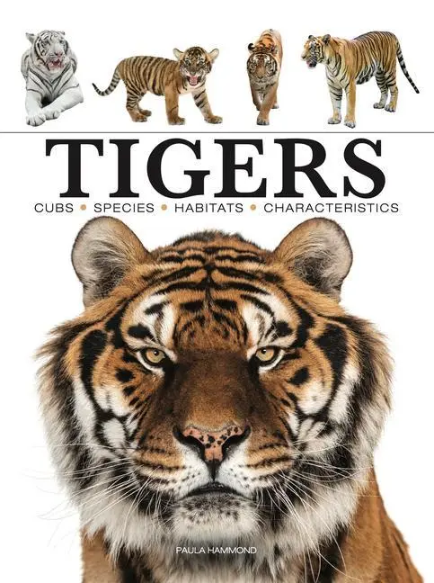 Cover: 9781838862602 | Tigers | Paula Hammond | Taschenbuch | Mini Encyclopedia | Englisch