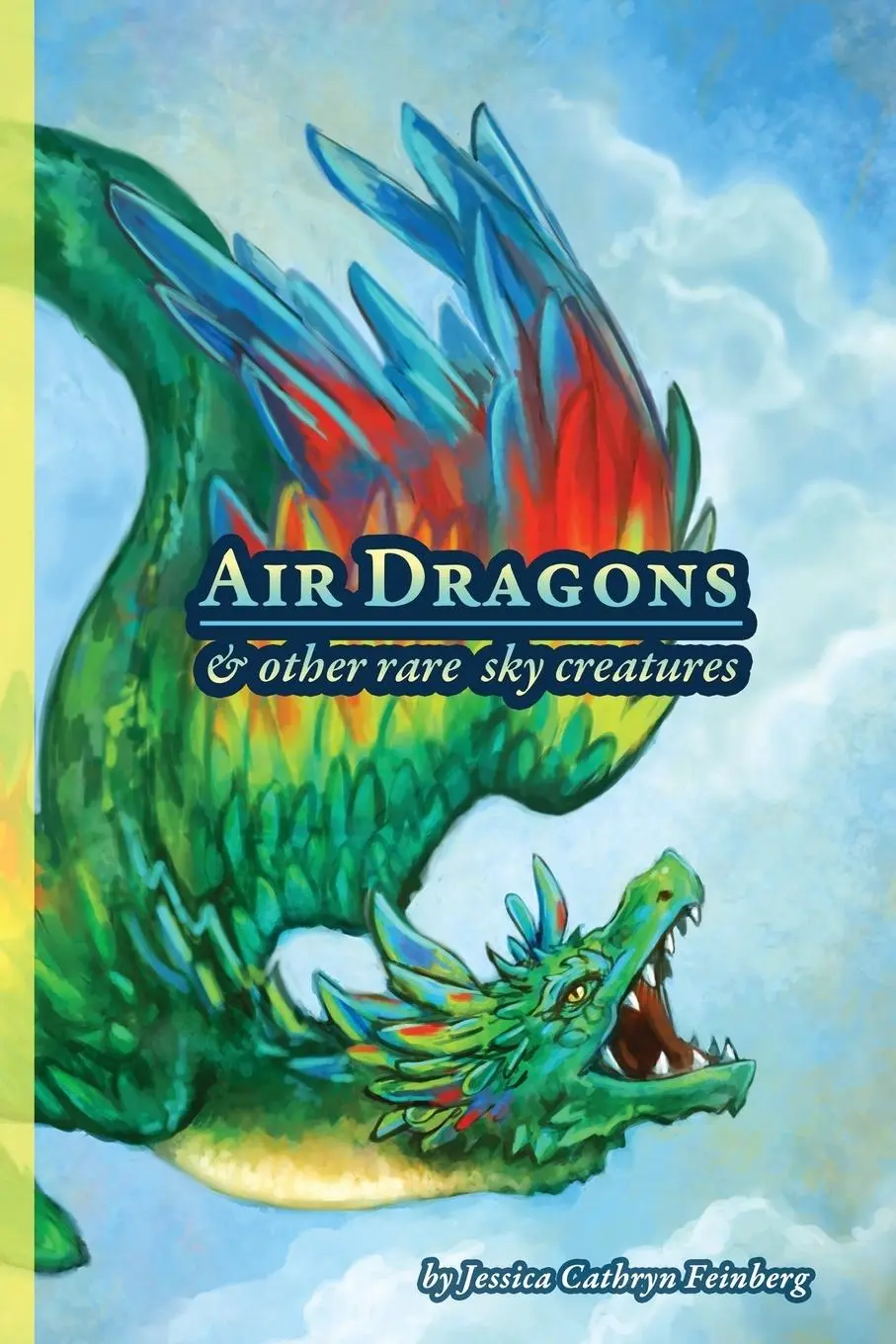 Cover: 9781944242602 | Air Dragons &amp; Other Rare Sky Creatures | A Field Guide | Feinberg
