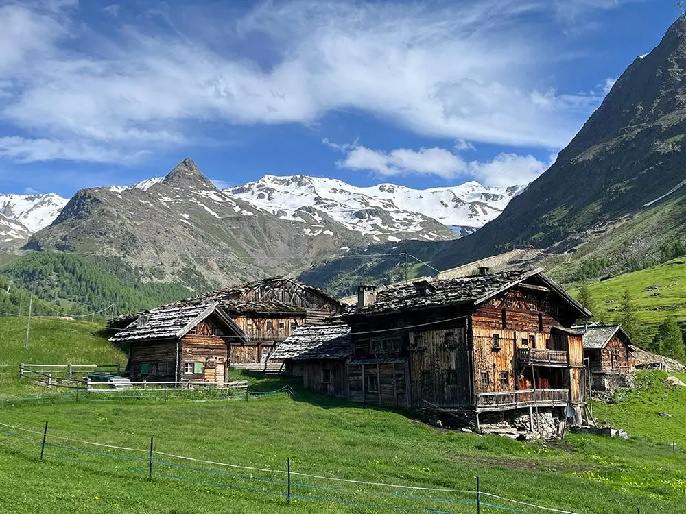 Bild: 9783702242602 | Der Alpen-Appell | Georg Bayerle | Taschenbuch | 160 S. | Deutsch