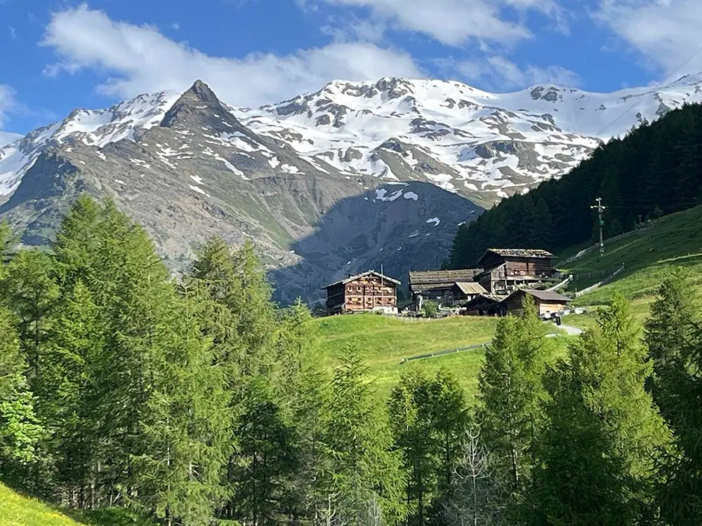 Bild: 9783702242602 | Der Alpen-Appell | Georg Bayerle | Taschenbuch | 160 S. | Deutsch