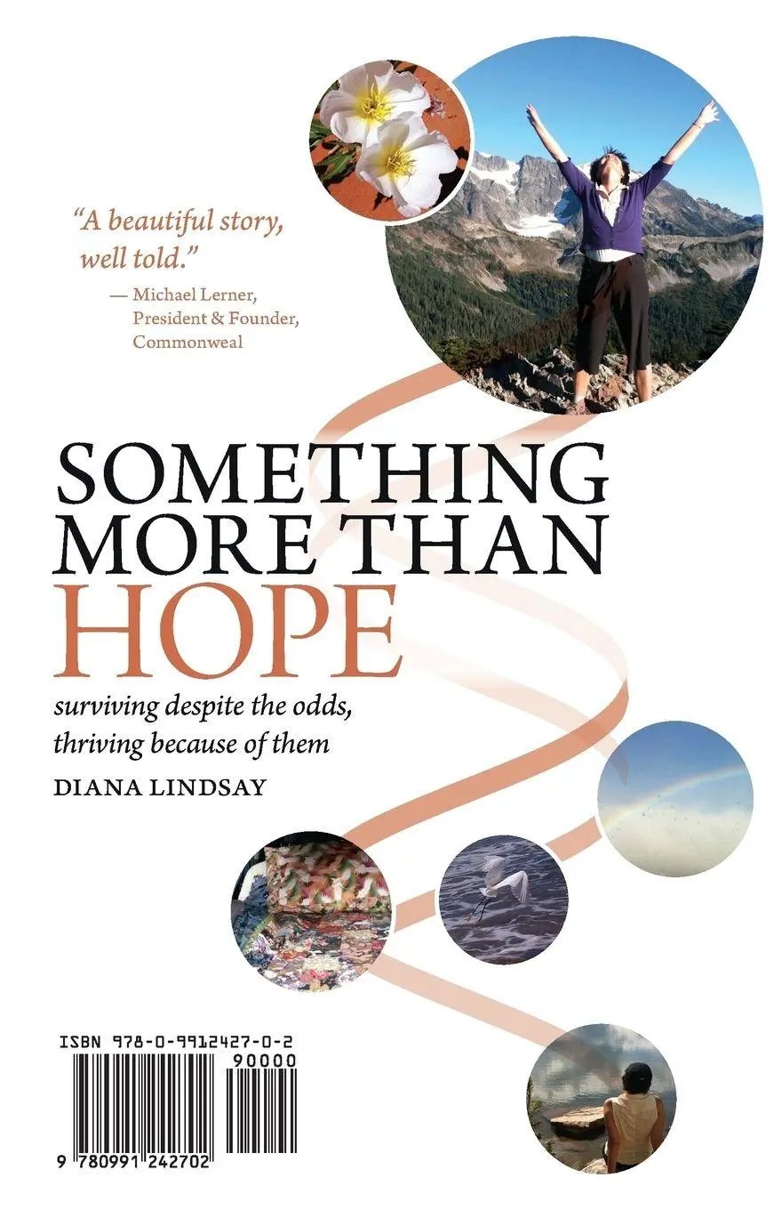 Cover: 9780991242702 | Something More Than Hope/Something More Than Everything | Taschenbuch
