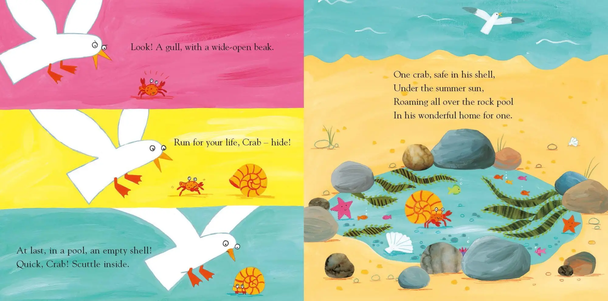 Bild: 9781509862702 | Sharing a Shell | Julia Donaldson | Taschenbuch | 32 S. | Englisch