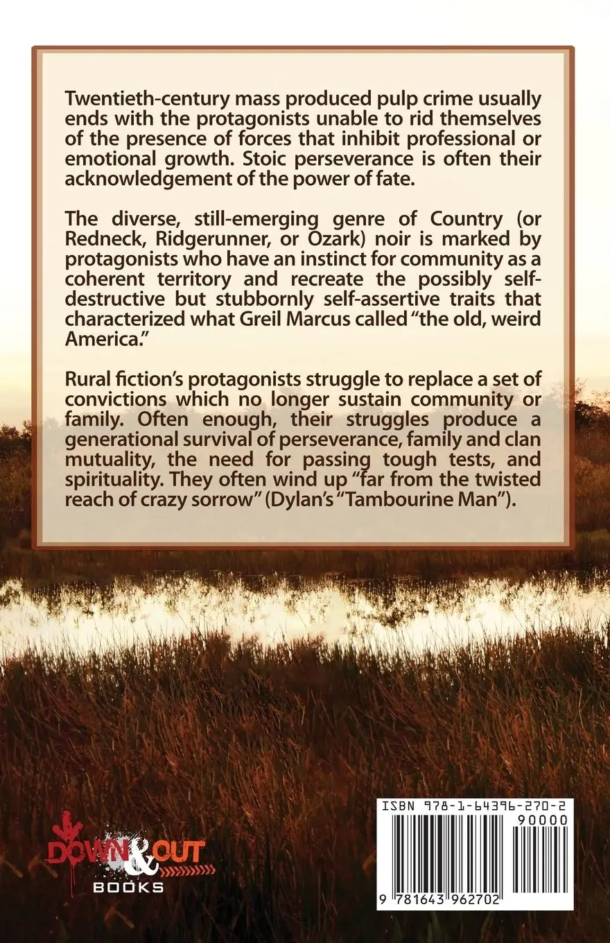 Rückseite: 9781643962702 | Beyond Twisted Sorrow | The Promise of Country Noir | Jay A. Gertzman