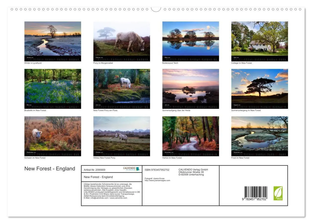 Bild: 9783457952702 | New Forest - England (hochwertiger Premium Wandkalender 2026 DIN A2...