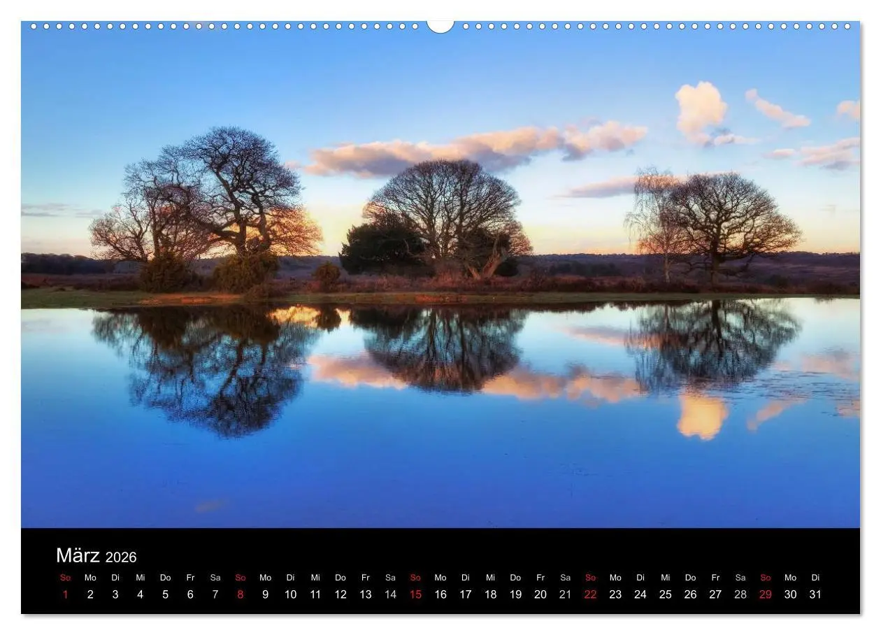 Bild: 9783457952702 | New Forest - England (hochwertiger Premium Wandkalender 2026 DIN A2...