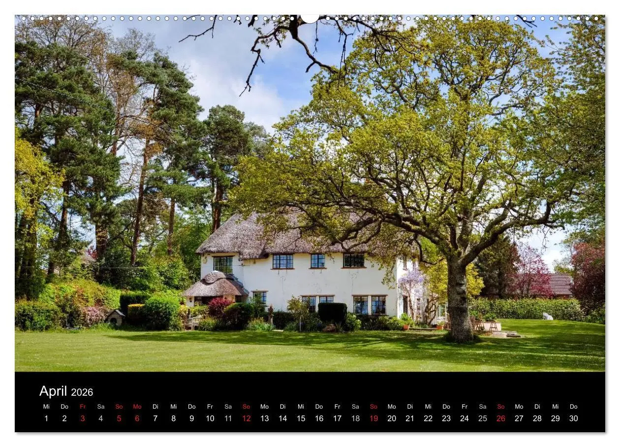 Bild: 9783457952702 | New Forest - England (hochwertiger Premium Wandkalender 2026 DIN A2...