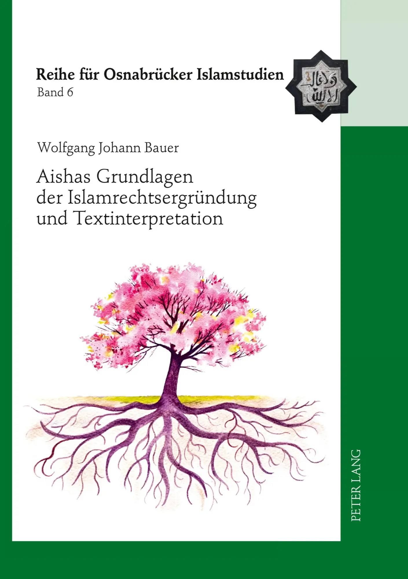Cover: 9783631632802 | Aishas Grundlagen der Islamrechtsergründung und Textinterpretation