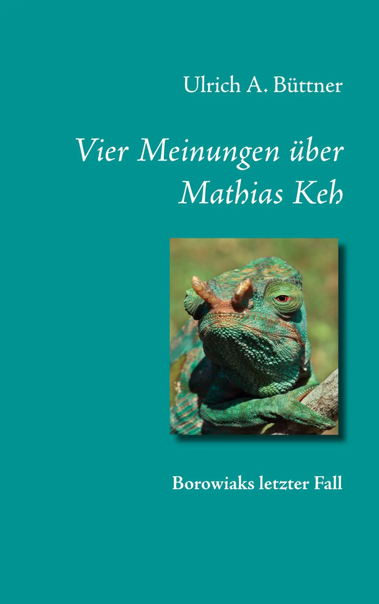 Cover: 9783740772802 | Vier Meinungen über Mathias Keh | Borowiaks letzter Fall | Büttner